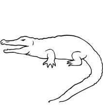 Крокодильчик