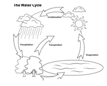 Кругообіг води (спрощений варіант)