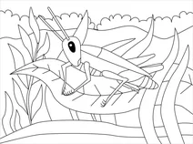 Крикет