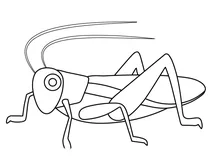 Крикет emoji
