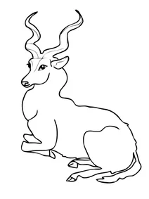 Куду великий