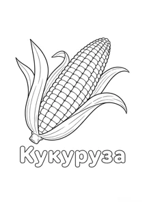 Розмальовка ««Кукурудза»»: роздрукувати, завантажити