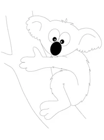 Кумедна коала