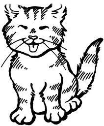 Кумедне кошеня