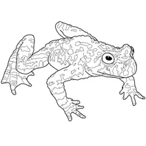 Кумка