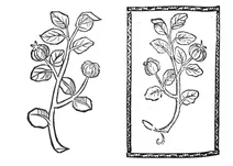 Куттен, 1497-1500