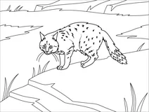 Книжка-розмальовка рідкісні тварини