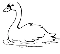 Лебідь пливе