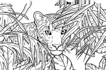 Leopard hiding in the jungle foliage