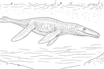 Liopleurodon