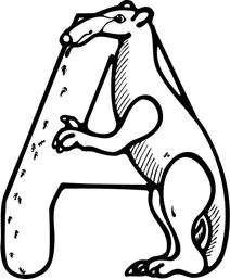 Літера a починає слово ” anteater
