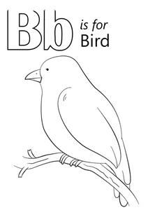 Літера b — bird (птах)