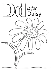 Літера d — daisy (ромашка)