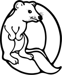 Літера q починає слово “quokka