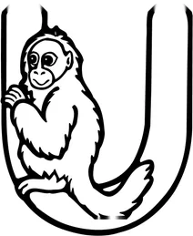 Літера u починає слово “uakari monkey