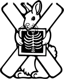 Літера x починає слово “x ray