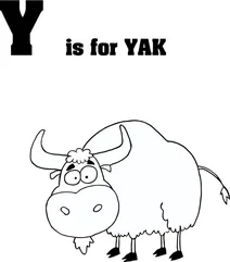 Літера y починає слово “yak