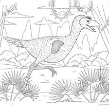 Llallawavis scagliai prehistoric bird