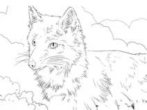 Лис американський (портрет)