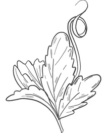Лист гарбуза