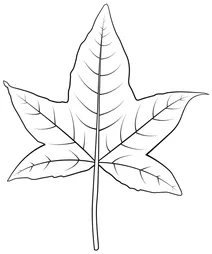 Лист цукерки