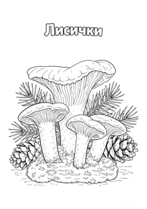 Лисички