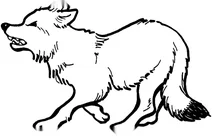 Лисиця гарчить