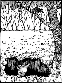 Лисиця і дрізд (каррік)