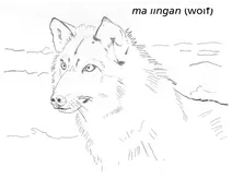 Ma’iingan (вовк)