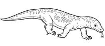 Megalania (varanus priscus)