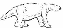 Megatherium americanum