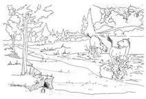 Miohippus annectens і capacikala gradatus біля річки