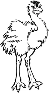 Молодняк страуса