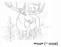 Mooz (лось)