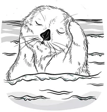 Морська видра доглядає за обличчям