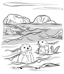 Морські видри