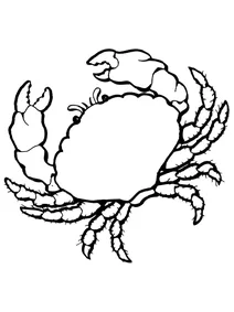 Морський краб