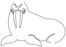 Морж