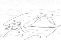 Mosasaurus hoffmanni