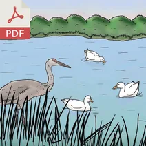 Національна система заповідників дикої природи pdf