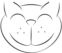 Обличчя котика