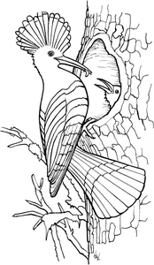 Одуд