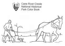 Оранка мулом у cane river creole