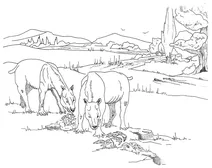 Ореодонти (eporeodon occidentalis), що пасуться