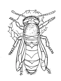 Оса пенсильванська (vespula pensylvanica)