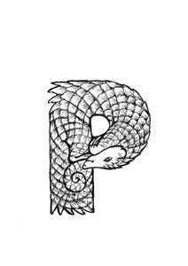 P — панголін