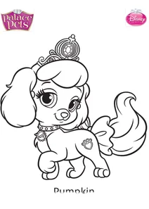 Palace pets гарбузик