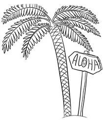 Пальма з табличкою «aloha