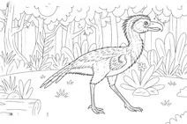 Patagornis marshi in the forest