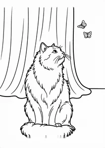 Persian cat and two butterflies
